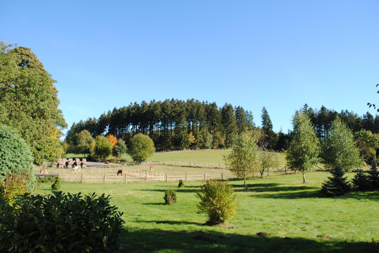 Landgasthof Gruss Брілон Екстер'єр фото