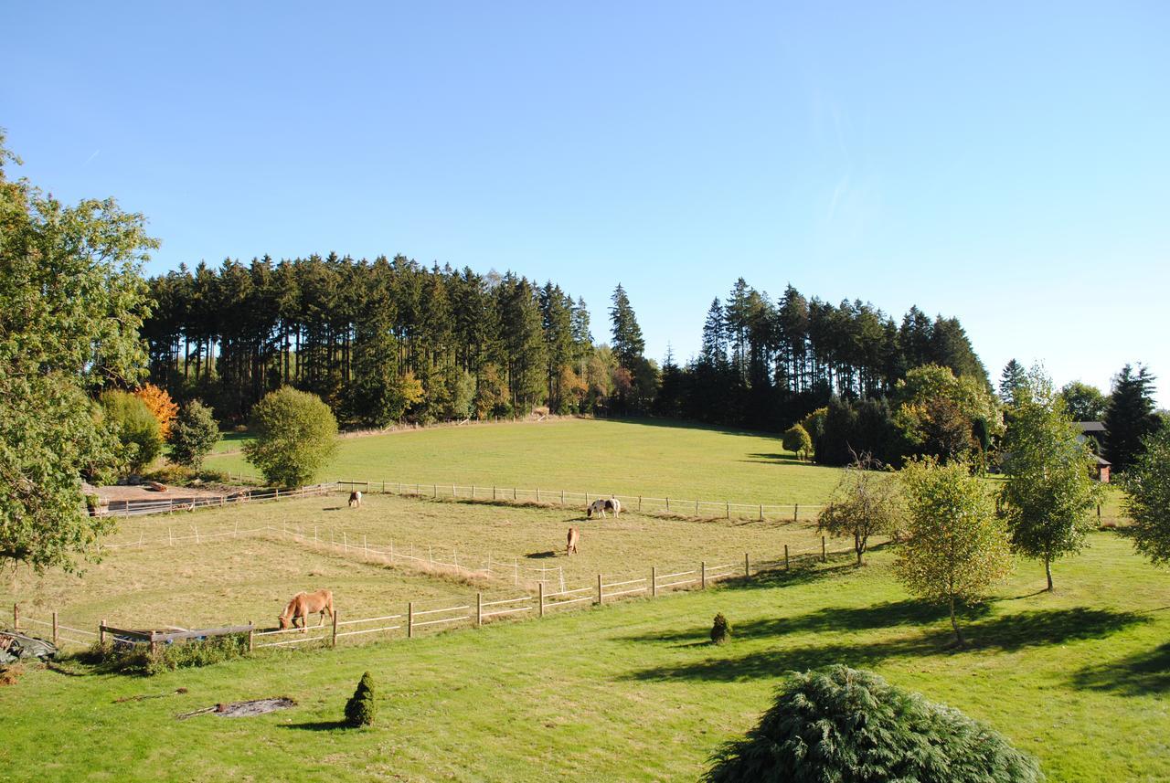 Landgasthof Gruss Брілон Екстер'єр фото