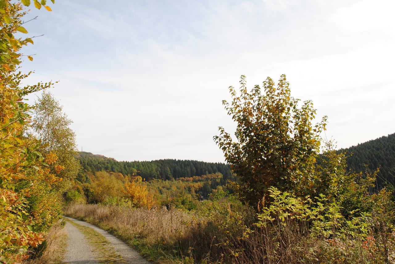 Landgasthof Gruss Брілон Екстер'єр фото