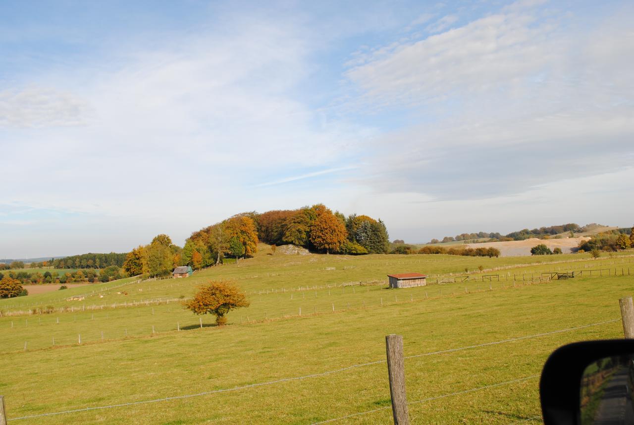 Landgasthof Gruss Брілон Екстер'єр фото